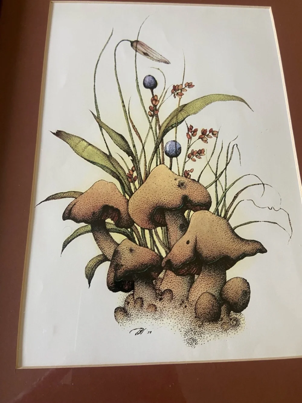 Vintage Framed Botanical Mushroom Print - 11 in x 14 in